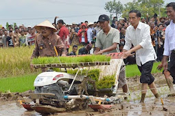 Jokowi Berkunjung ke Sintang Kalbar, Ini Rencana Agendanya