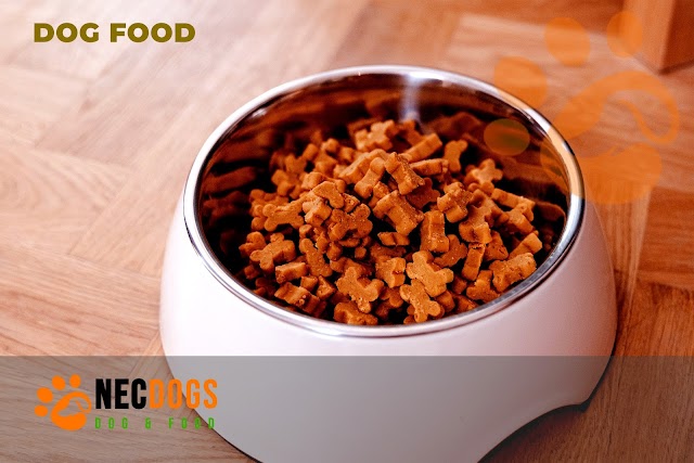 Save more Money on Dog Food with Dogfooding