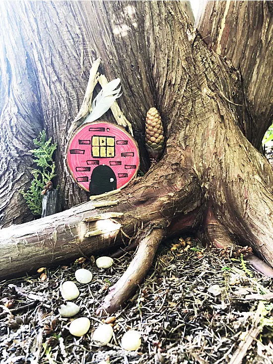 fairy house in a tree