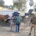 बिहार जा रही पशुओं को पुलिस ने पकड़ा, दो को भेजा जेल