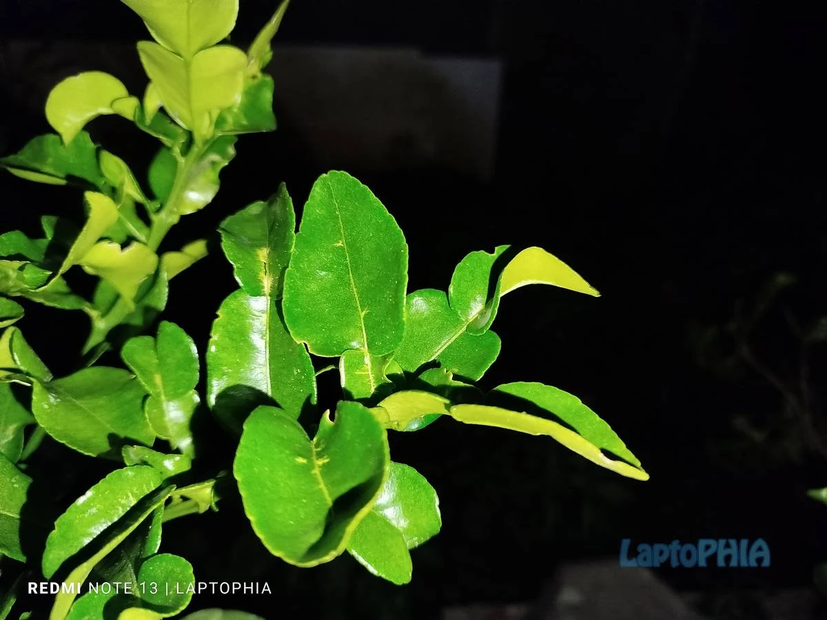 Hasil Foto Kamera Xiaomi Redmi Note 13 4G