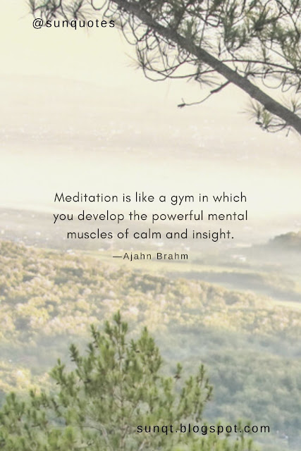 Meditation is like a gym in which you develop the powerful mental muscles of calm and insight. —Ajahn Brahm