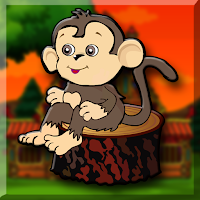 Baby Macaque Escape