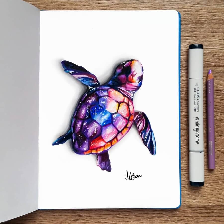 05-Space-sea-turtle-Miray-www-designstack-co