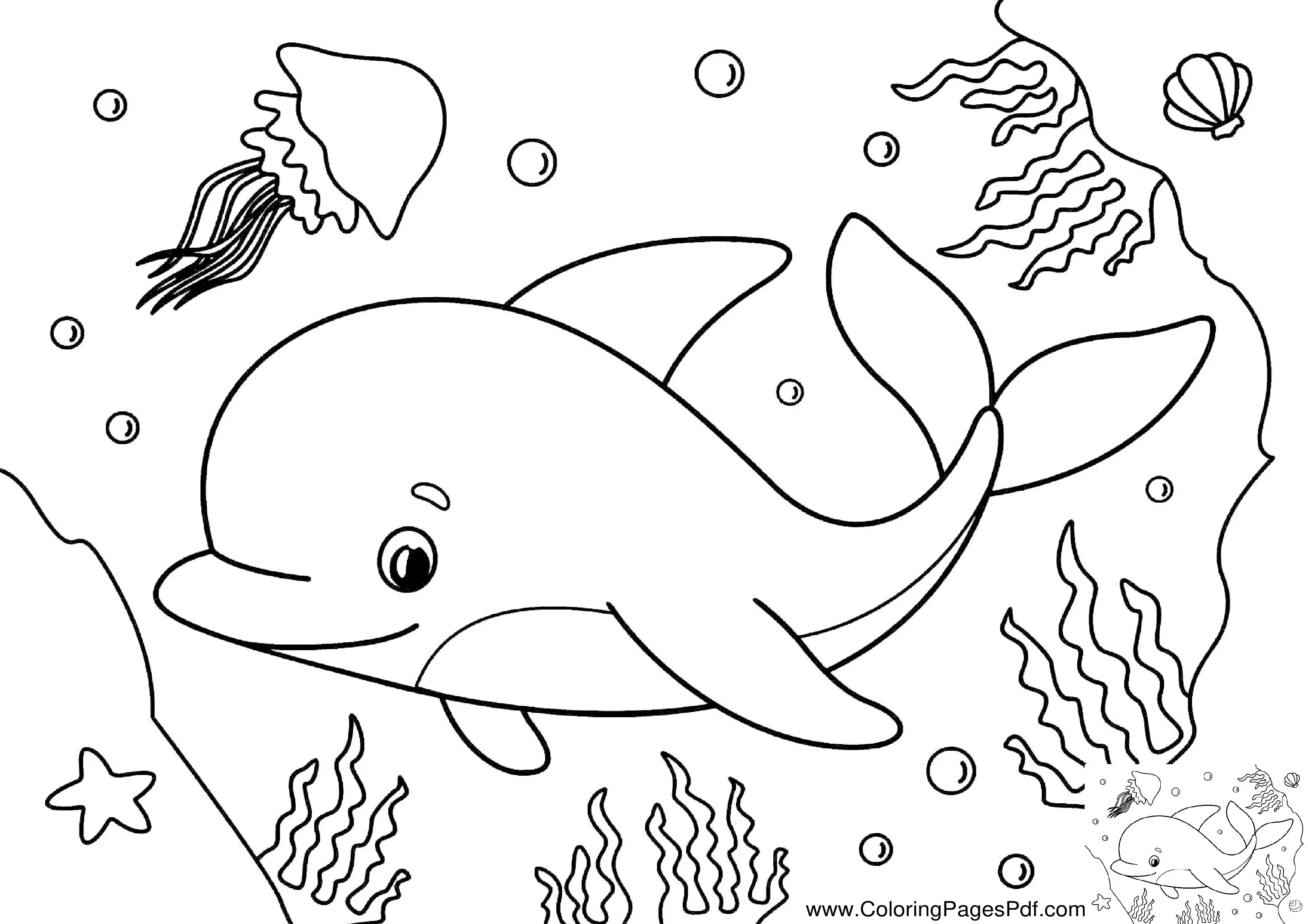 Dolphin coloring pages pdf