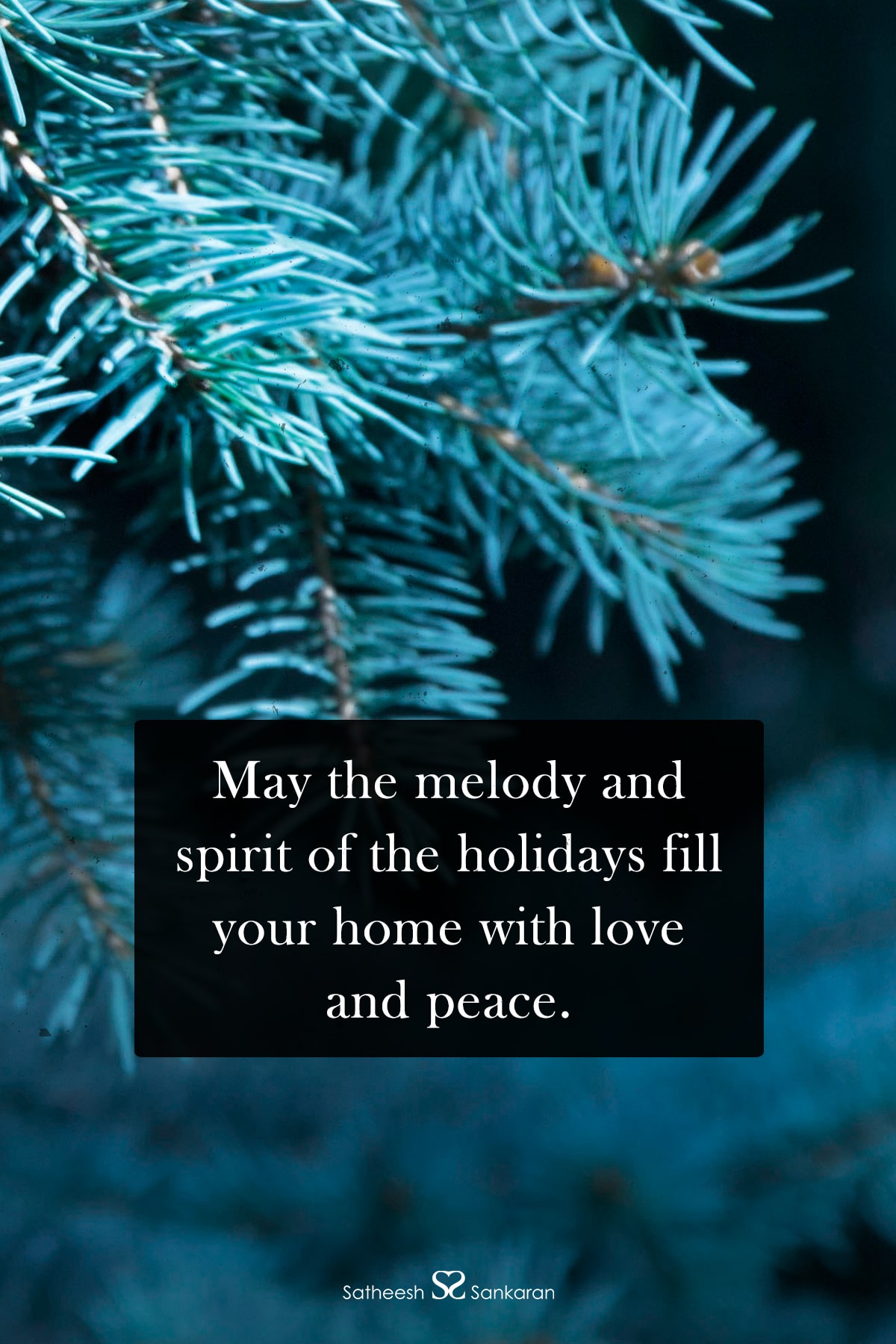 May the melody and spirit of the holidays fill your home with love and peace.