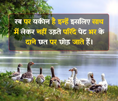 Birds Quotes In Hindi
