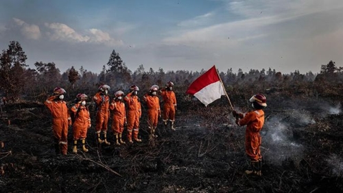 Greenpeace Buka Suara Usai Dipolisikan Buntut Kritik Pidato Jokowi
