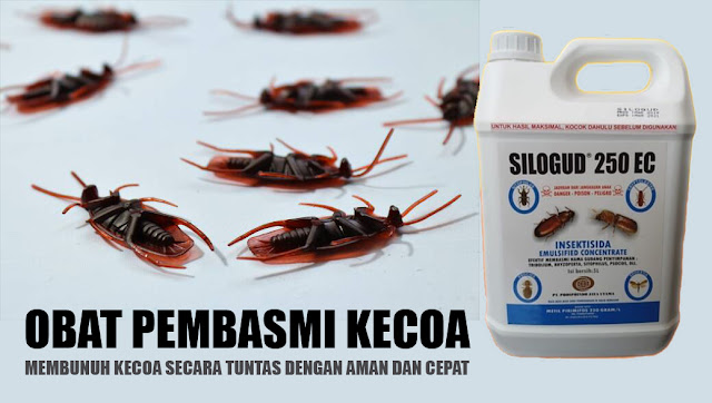 obat pembasmi kecoa