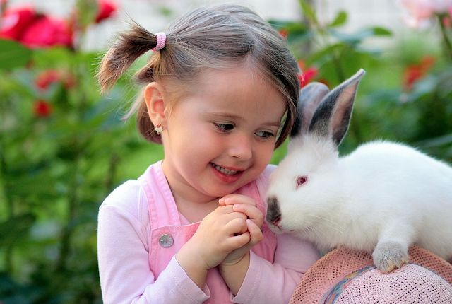 أرنب بجانب طفلة