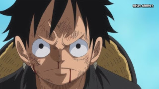 One Piece 第860話 男の生き様 ベッジとルフィ船長の決意 ネタバレ