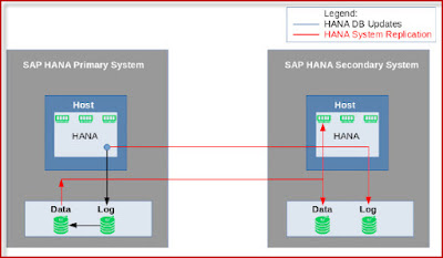 SAP HANA Platform, SAP HANA Exam, SAP HANA Exam Prep, SAP HANA Preparation, SAP HANA Career, SAP HANA Guides, SAP HANA Learning