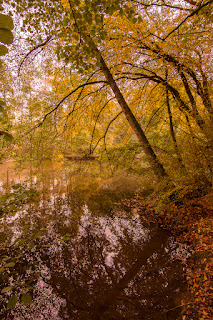 Naturfotografie Herbstfarben Olaf Kerber