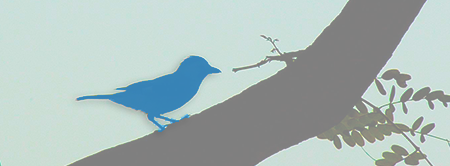 A silhouette of a bird standing on a tree branch. The bird is colored light-blue, resembling the Twitter logo.
