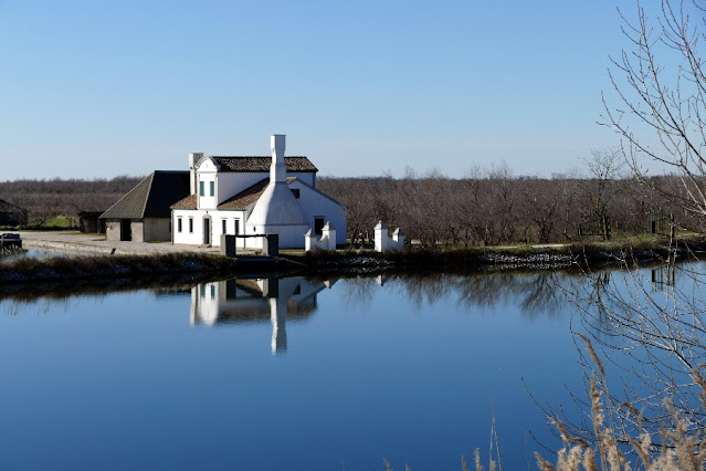 delta del po escursioni a piedi passeggiate