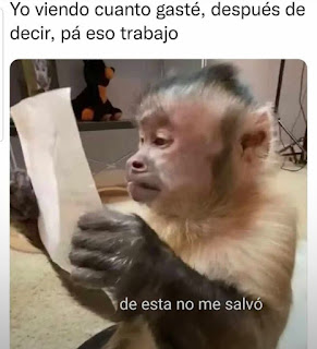 memes dominicanos,memes en español,memes latinos,memes sad,memes graciosos,consejos de leyla,memes,memes divertidos,chistes,imagenes divertidas,