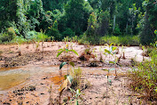 Sungai Malili Keruh,Ketum LBH Cinta Lingkungan Dorong Penegak Hukum