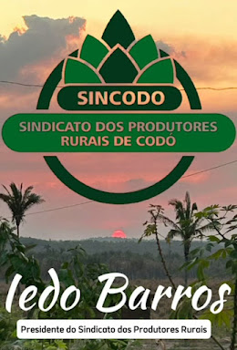 SINCODO - SINDICATO DOS PRODUTORES RURAIS DE CODÓ