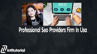 Professional Seo Providers Firm In Usa