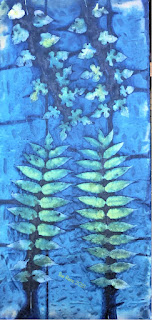 Sue Reno_wet cyanotype_image 933