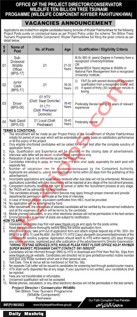 Forestry Environment Jobs 2022 – Today Jobs 2022