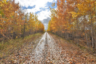 Trans Canada Trail fall colours Manitoba.