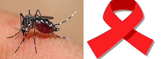 apakah nyamuk menularkan HIV