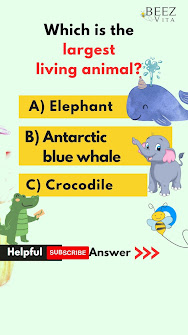 Which is the largest living animal? GK QUIZ