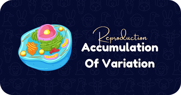 Accumulation of Variations During Reproduction - An Overview