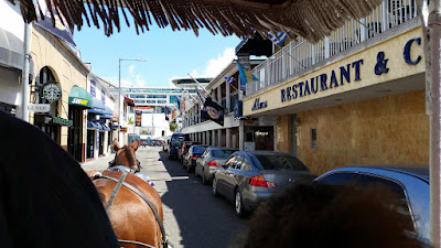 View from horse buggy at street and buildings.