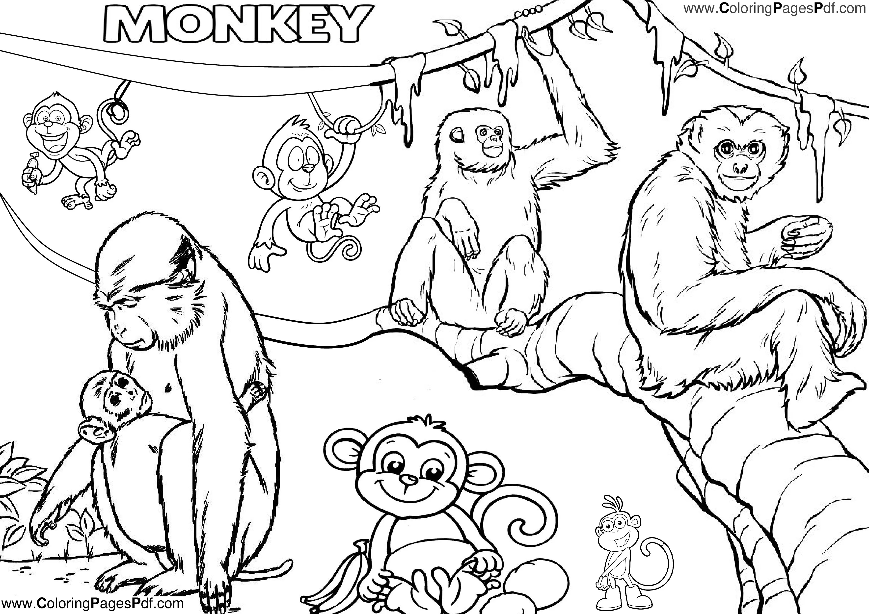 Free printable monkey coloring pages