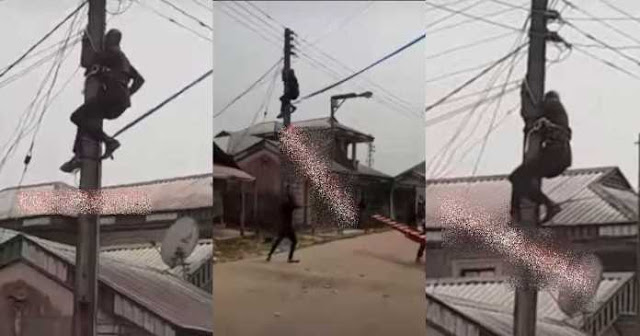 Nepa official left stranded on pole after residents took his ladder away for trying to cut power- Watch
