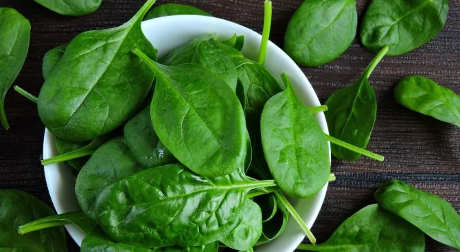 Health Benefits of Spinach Juice