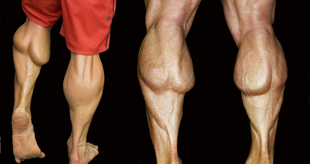 The best exercises for calves