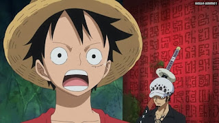 ワンピースアニメ ゾウ編 770話 ルフィ Monkey D. Luffy トラファルガー・ロー | ONE PIECE Episode 770