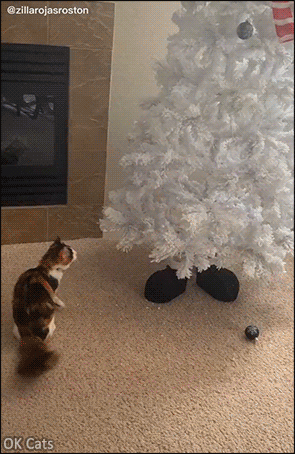 Xmas Cat GIF • Jerk cat knocks down beautiful white Christmas tree and then, runs away! [ok-cats-site.com]