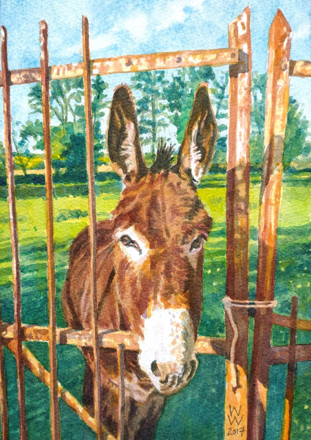 A watercolour of a donkey poking its nose through a gate, entitled "L'âne au grille," by William Walkington in 2017