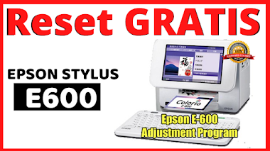  RESET GRATIS IMPRESORA EPSON STYLUS E600/ Solución Almohadillas Epson STYLUS E600 