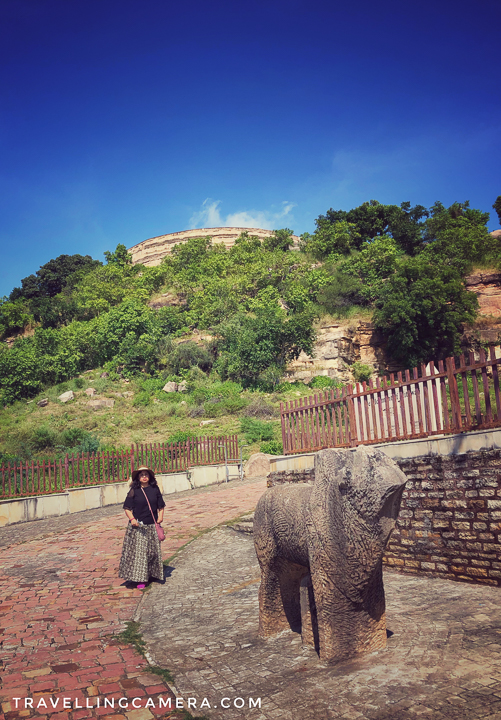 You can find them in the states of Uttar Pradesh, Madhya Pradesh, and Odisha. There are also accounts of temples that were lost and these temples were once much more widely distributed across India. You would come across them in Delhi, in Rajasthan, also as far as Bengal and Tamil Nadu. However, these temples are long gone now.