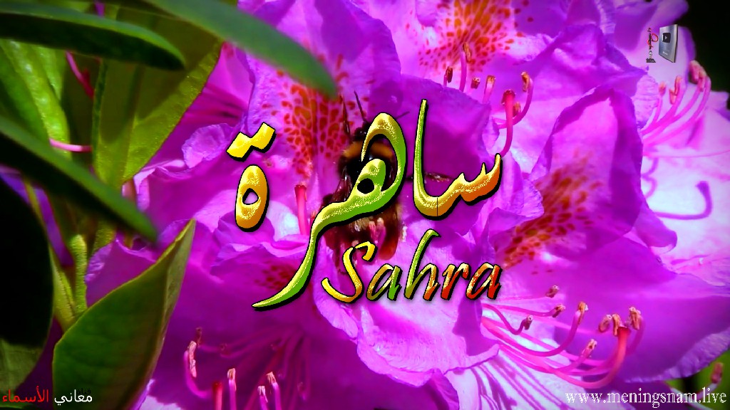 معنى اسم, ساهرة , وصفات, حاملة , هذا الاسم , Sahra,