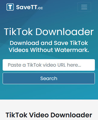 TTDownloader