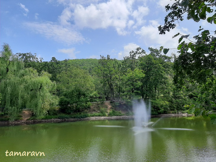 Седанка Парк (Sedanka Park) во Владивостоке