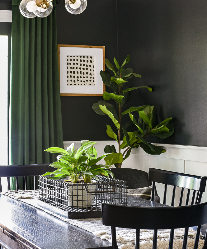 Home decor essentials, plants