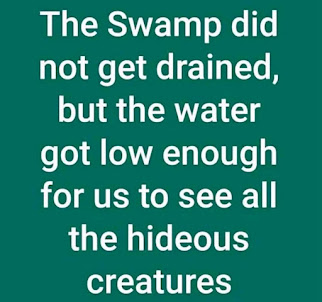 Swamp Alive and Well.  Well...