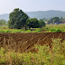 Is agriculture class right for you | Harisharan Devgan | News