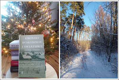 kolaż zdjęć: okładki omawianej książki na tle bożonarodzeniowej choinki oraz widoku na ośnieżoną drogę w lesie