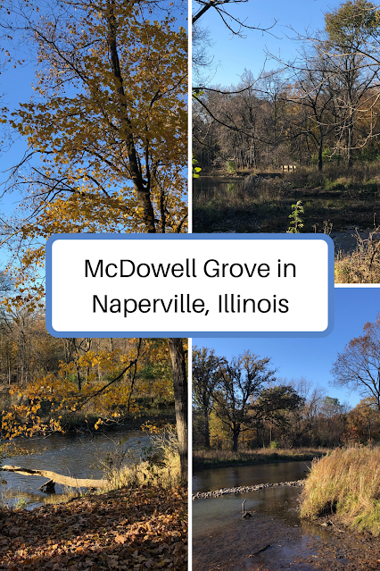 Admiring the West Branch DuPage River During a Hike at McDowell Grove in Naperville, Illinois