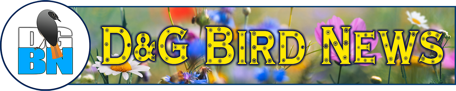 Bird Sightings News for Birdwatching or Birding in Dumfries &amp; Galloway
