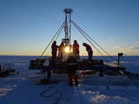 Scientists have discovered 77 species of organisms under the Antarctic ice shelf.