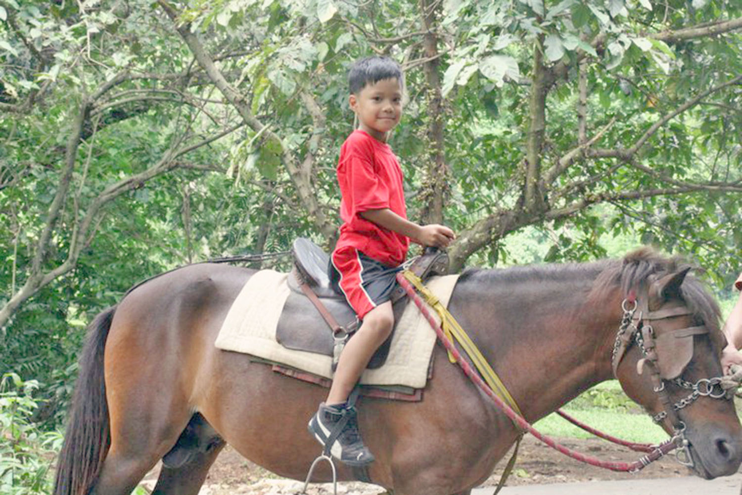 Lamesa Ecopark, kid on horse